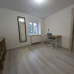 Maison 110m2, 7 Lits, Pro & Famille * Soultz-Haut-Rhin